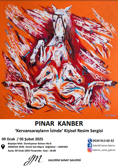 PINAR KANBER SERGİSİ